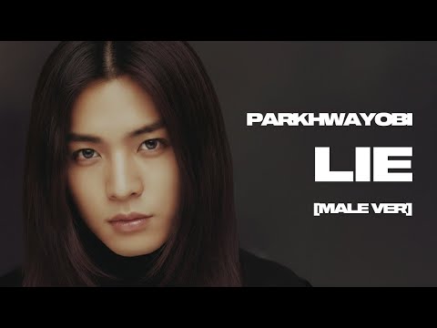 박화요비 - LIE [Male Ver]