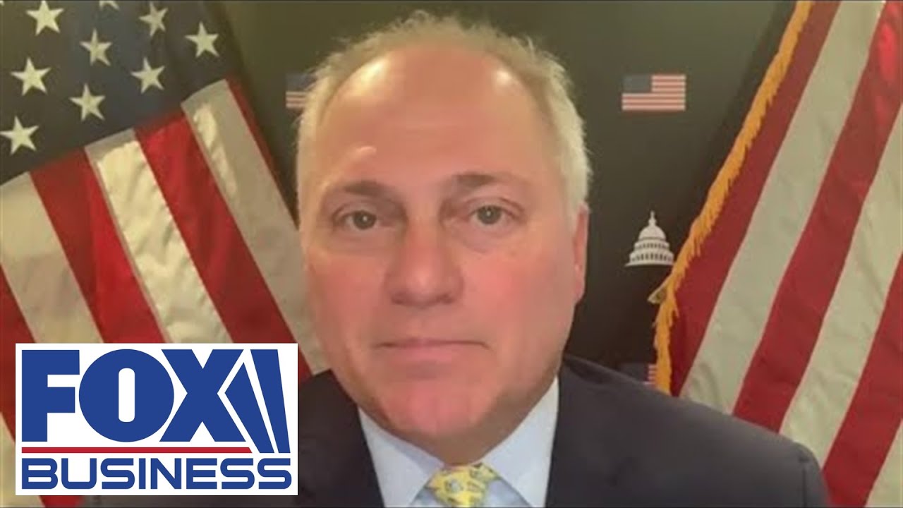 DOJ 'fighting' to keep Mar-a-Lago affidavit private should tell you something: Scalise