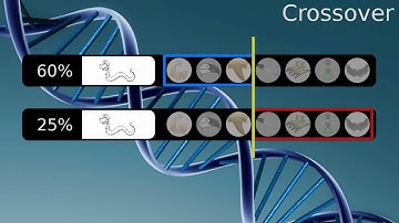 Genetic Algorithms