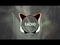 Bacho ქრიზანთემები Remix
