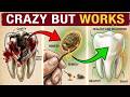 Forget Toothpaste — This #1 Secret REPAIRS Tooth Decay Naturally