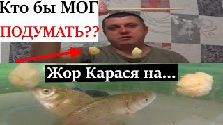 видео: Жор КАРАСЯ.Я и представить не мог что Карась это любит.Косит всю рыбу.Насадка. Прикомка для рыбалки. картинка: Жор КАРАСЯ.Я и представить не мог что Карась это любит.Косит всю рыбу.Насадка. Прикомка для рыбалки.