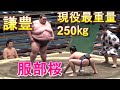 服部桜 対 謙豊(日本人最重量250㎏)