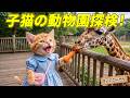 【まさかのご褒美】落とし物を届けたここにゃん…VIPチケットで上野動物園を大冒険した一日が楽しすぎた🥹🎫🦒🐘🐱✨