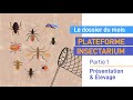 Plateforme insectarium : présentation et élevages - Partie 1