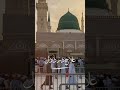 *شفا صرف نبی ﷺ سے *#MareezHunYaRasoolAllah #IlaajDardEDil#YaRasoolAllah #NaatShareef #Alhamdulillah