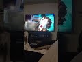 ellegaard dies mcsm