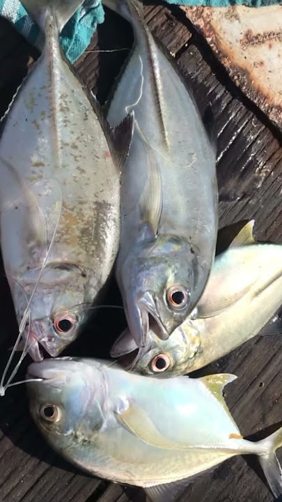Sudah mancing kah kalian hari ini? #benoabali #kapalmerah#gianttravely #bali