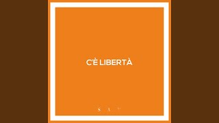 Video thumbnail of "SAM - C'è Libertà"