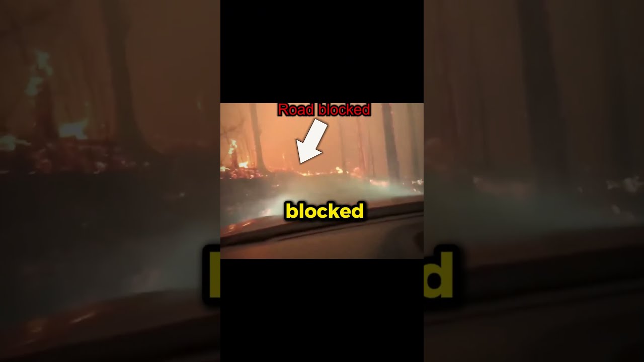 They Couldn T Escape The Forest Fire