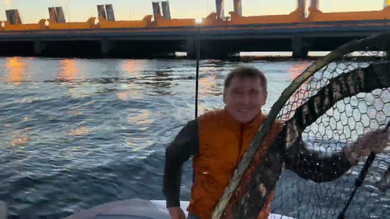 Немного о нашей рыбалке. Купили новый эхолот и датчик panoptix LVS12. Первый тест.