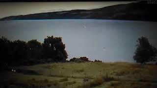 VID_20190710_174454.mp4