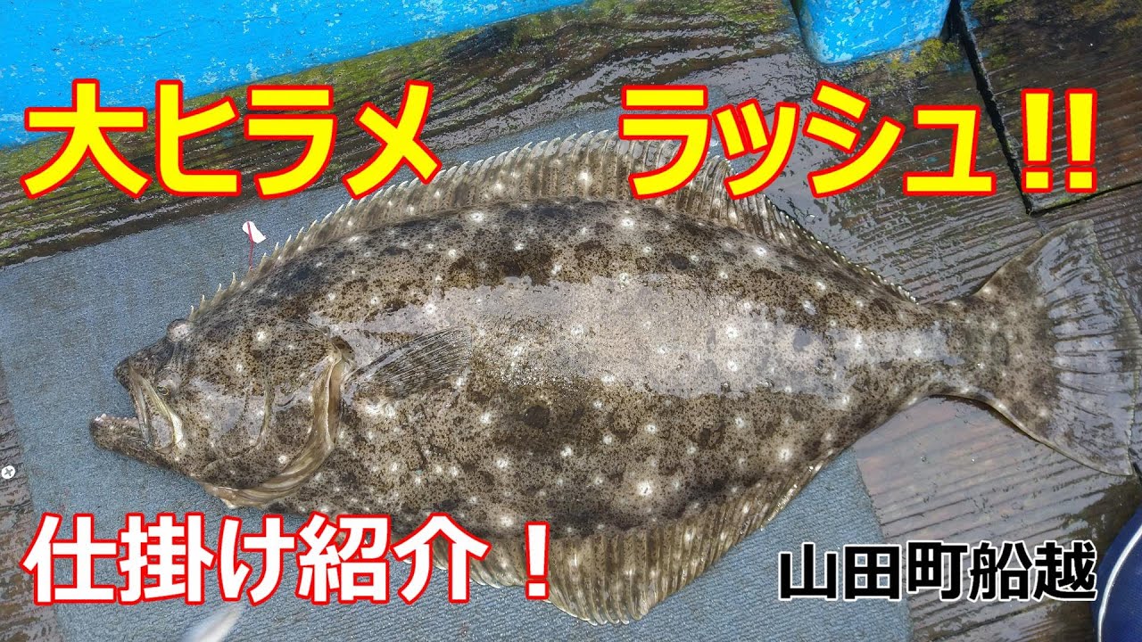【大ヒラメ！】山田町船越でヒラメ釣り！