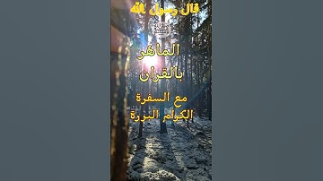 قراءة القرآن. قال رسول الله صلى الله عليه وسلم عن التلاوة الجيدة للقرآن الكريم #اكسبلور #ترند #حديث
