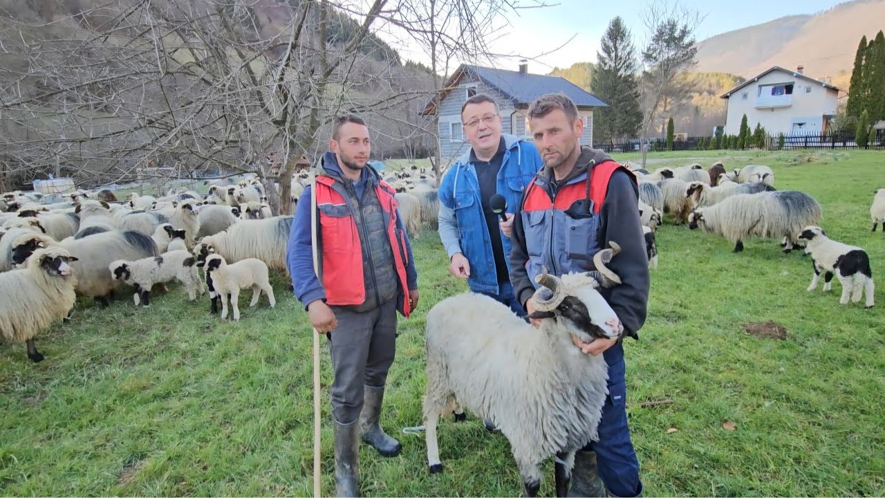 OZENIO SE PREKO TIK TOKA POGLEDAJTE MLADE NOMADE