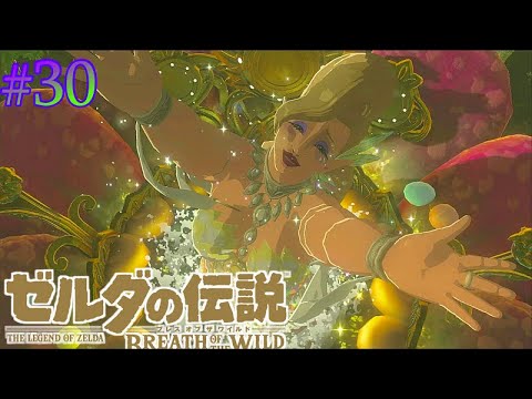 【ゼルダの伝説botw】まったり実況#30　珍しく腰の低い勇者らっち