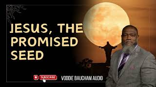 JESUS, THE PROMISED SEED VoddieBaucham