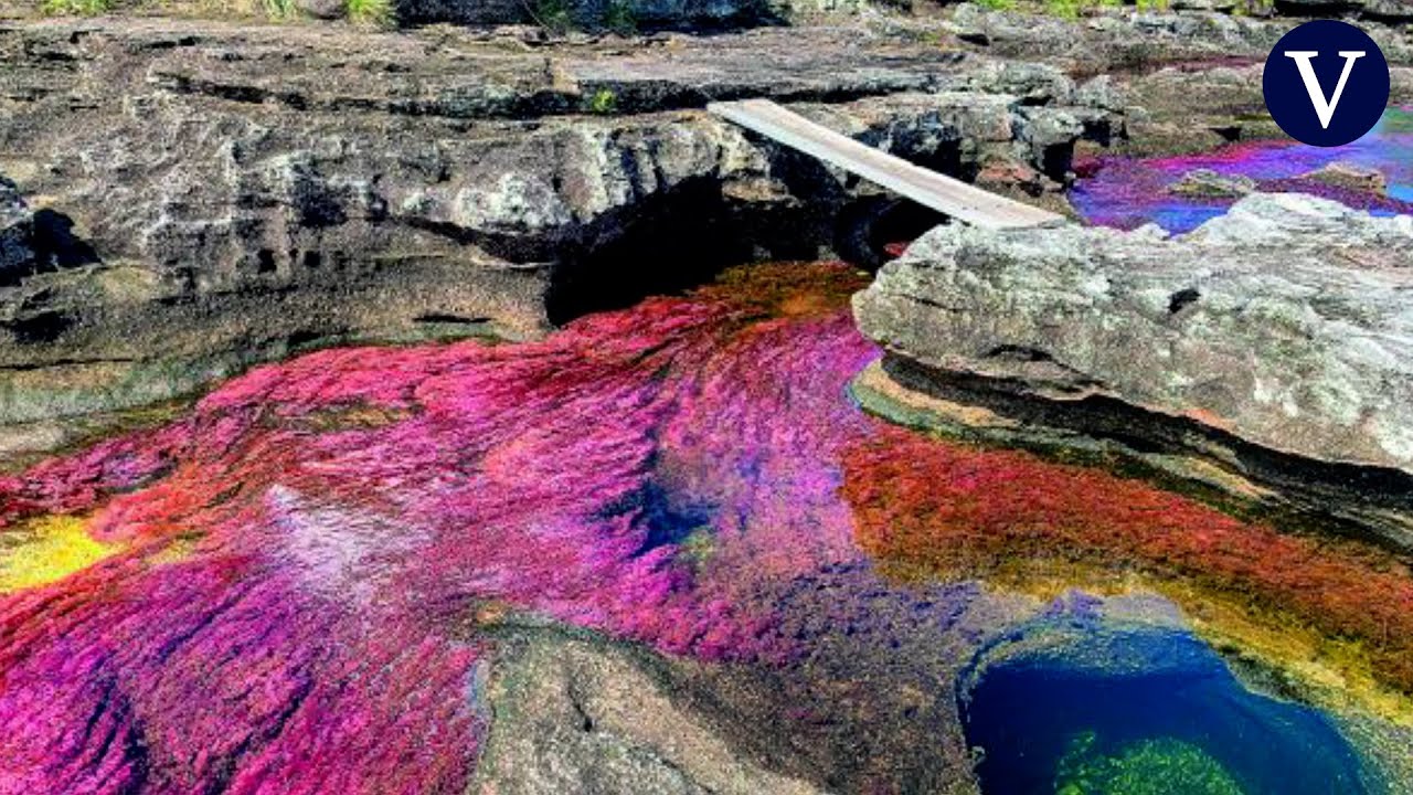 Ca o Cristales El R o M s Bonito Del Mundo Ya Se Puede Visitar ca-o-cristales-el-r-o-m-s-bonito-del-mundo-ya-se-puede-visitar