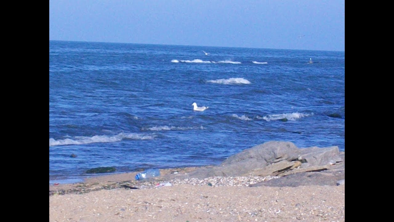 Температура воды в море махачкала. Каспийское море Махачкала. Каспийское море Кизляр. Море Альграда Каспийское Махачкала. Махачкала Каспийское море Алиса.