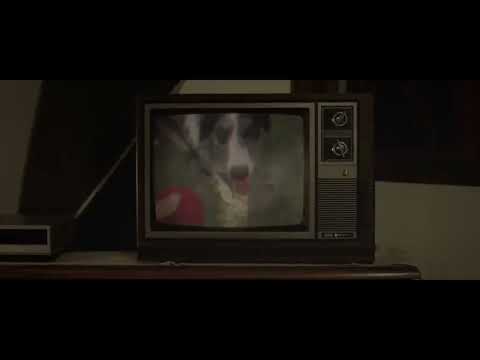 Voz Off/Cena - Curta de Terror "Sentinela"
