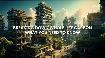Breaking Down Whole Life Carbon  What You Need to Know