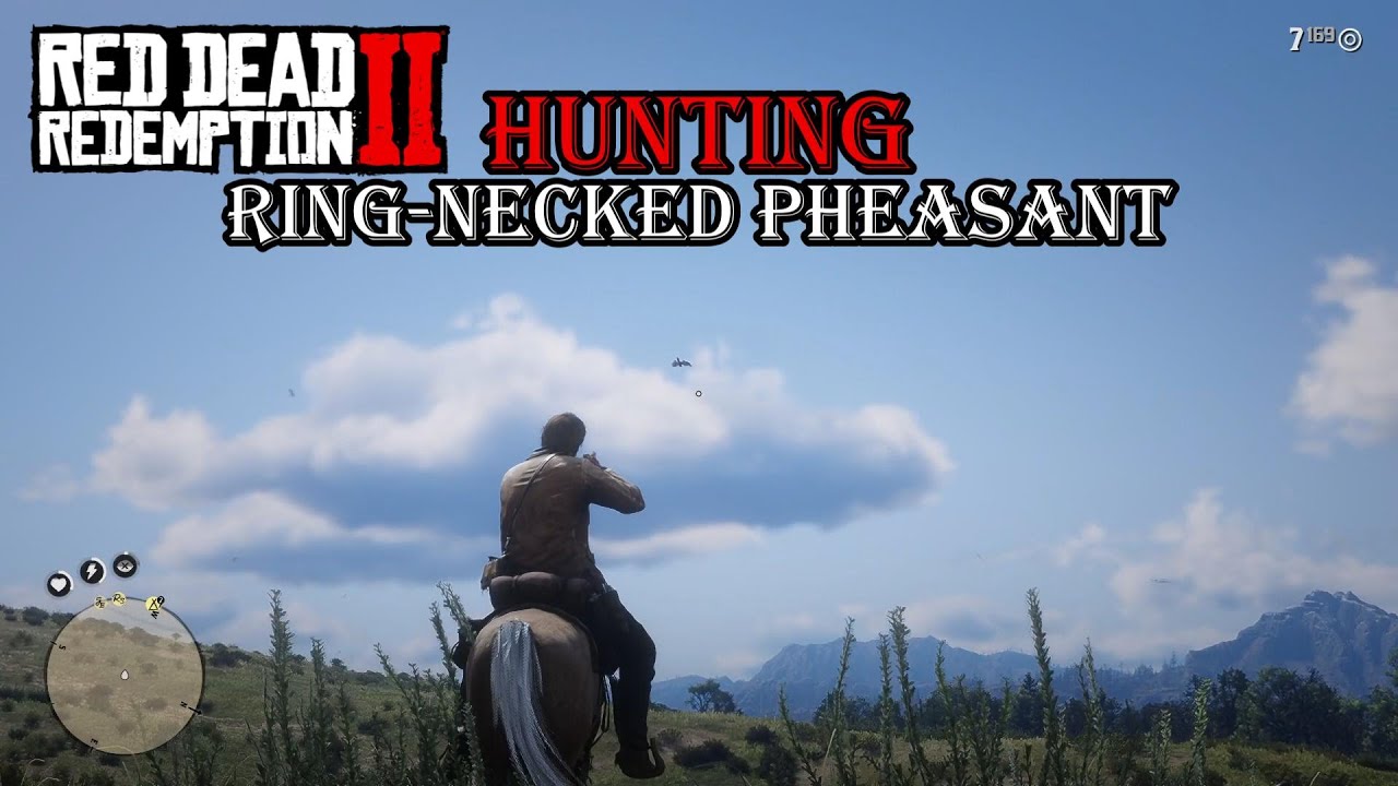 Pheseant Rdr2 Red Dead Redemption 2 (Hunting Ring-necked Pheasant) - YouTube