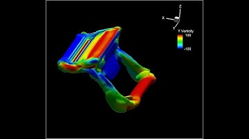 flow simulation around 3D flapping motion