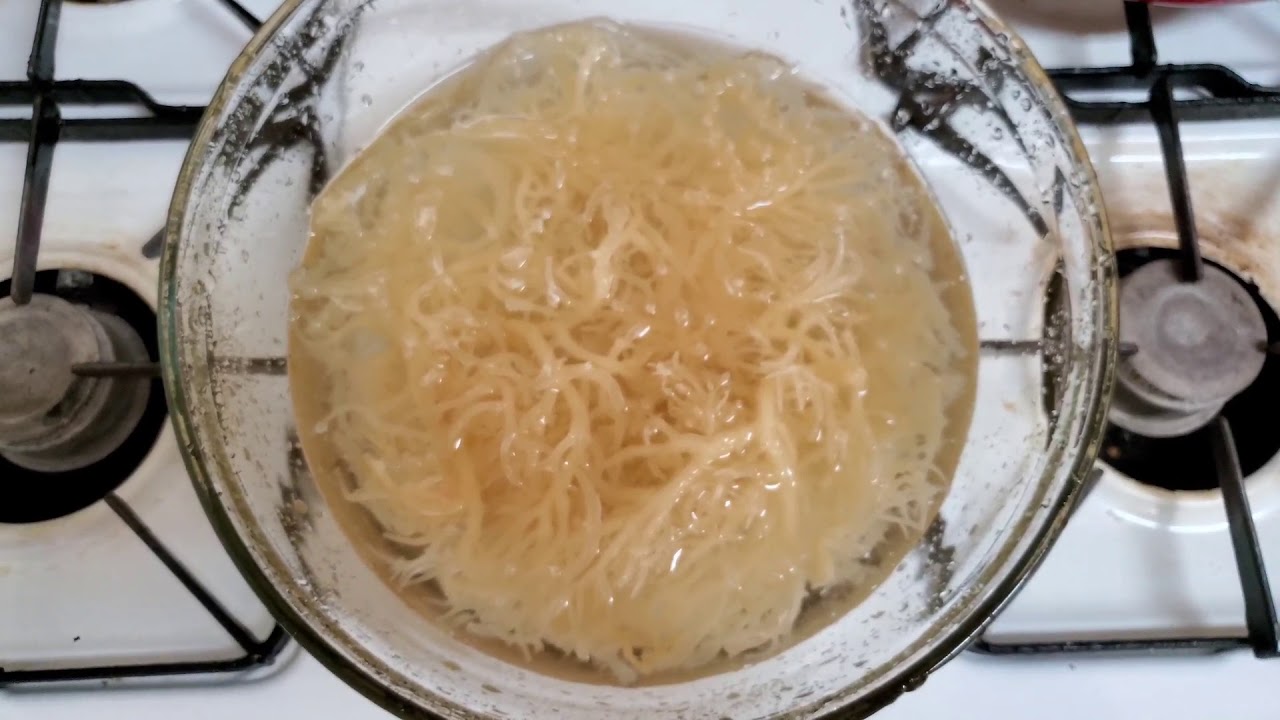 How to prepare sea moss from start to finish. YouTube