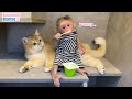 BiBi Teach Ody Cat To Eat Yogurt BiBi Teach Ody Cat To Eat Yogurt