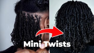 DIY Mini Twists on Natural Hair For Fast Hair Growth| No Heat  | Best Protective Hairstyle