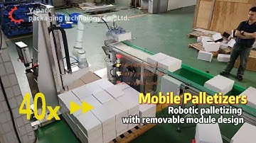 Horizontal Automatic Cartoning Machine and Universal Robots Palletizing For Milk Powder Cans