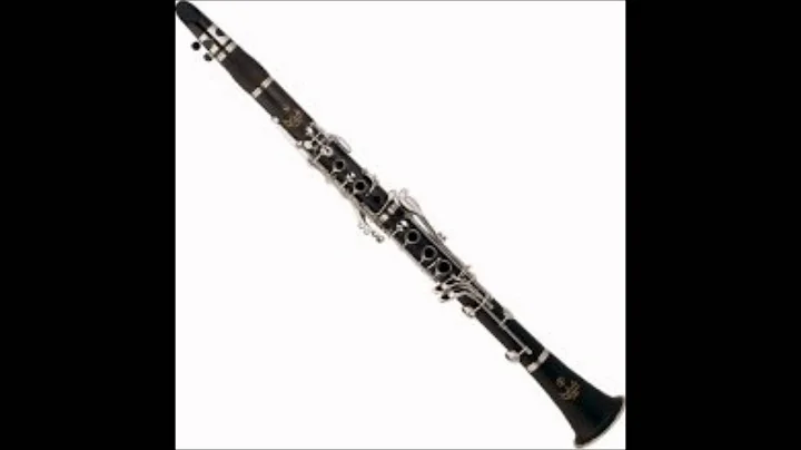 Rota Sonata in D Major for clarinet and piano, I. ...