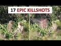 17 monkey and baboon killshots 2024