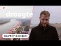 Hoe een gortdroge zomer Nederland verschrompelde