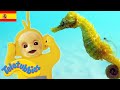 ☆ Teletubbies en Español Castellano ☆ COMPILACIÓN DE 1 HORA ☆ Espectáculos para niños ☆