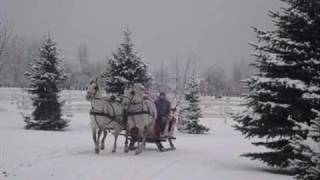 Ts Kristali - Put Do Stana.wmv