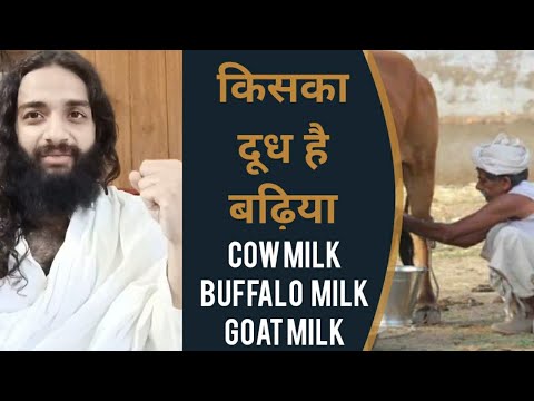 वीडियो: कौन सा दूध स्वास्थ्यवर्धक है: गाय का या बकरी का