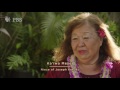 Hawaiian Steel Guitar Knowledge