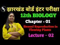 Class 12 Biology sexual Reproduction In Flowering Plants | lec - 02 | class 12 Biology jac Board