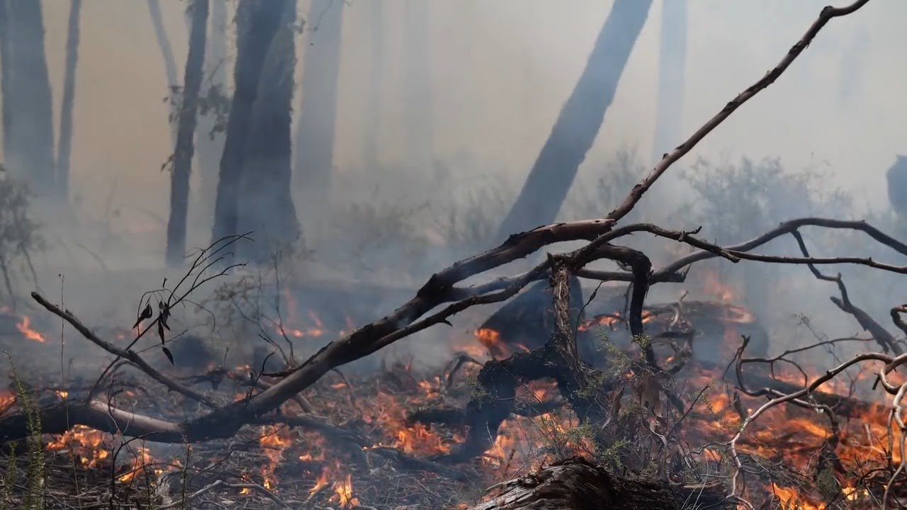 Don't let your campfire become a bushfire