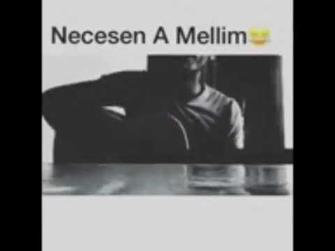 Necesen A Məllim