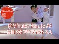 15 Minutes Karate #8  毎日15分 空手フィットネス 【Akita's Karate Video】   HD 1080p