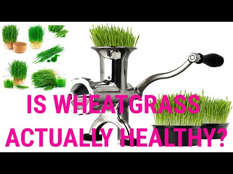is-wheatgrass-actually-healthy?-|-health-&-fitness-channel