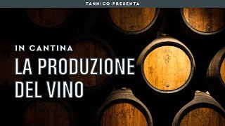 La produzione del vino rosso, bianco, rosato e orange | Tannico Flying School