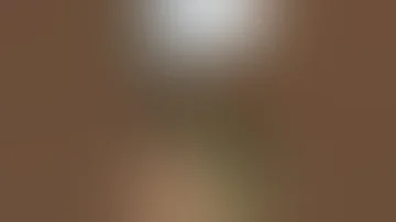 التزاوج بين الخيول 