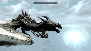 [EPIC BUG] - Skyrim: Meridia VS dragon