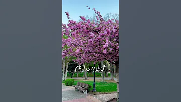 كم اغار عليها 