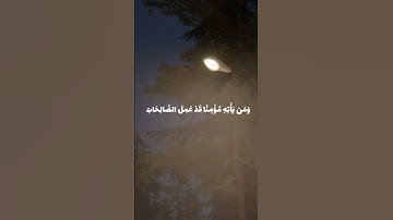 القارئ محمد ايوب رحمة الله تلاوة من سورة طه #quran #القرآن_الكريم #explore #اكسبلور #القرآن #سورة_طه