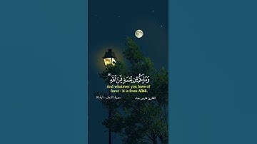 #سورة_النحل #فارس_عباد #قران_كريم