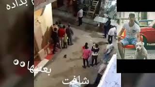 هشام بزاده بطل اسكندريه عارك الحكومة 4 سعات